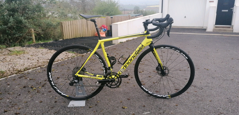 gumtree cannondale synapse